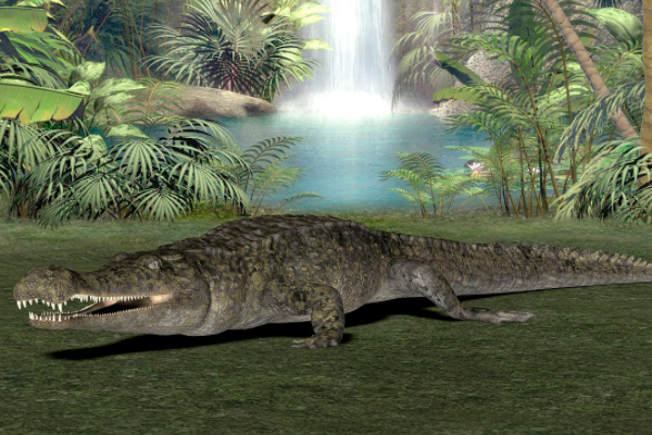 远古生物帝鳄究竟有多大，帝鳄吃什么呢?
